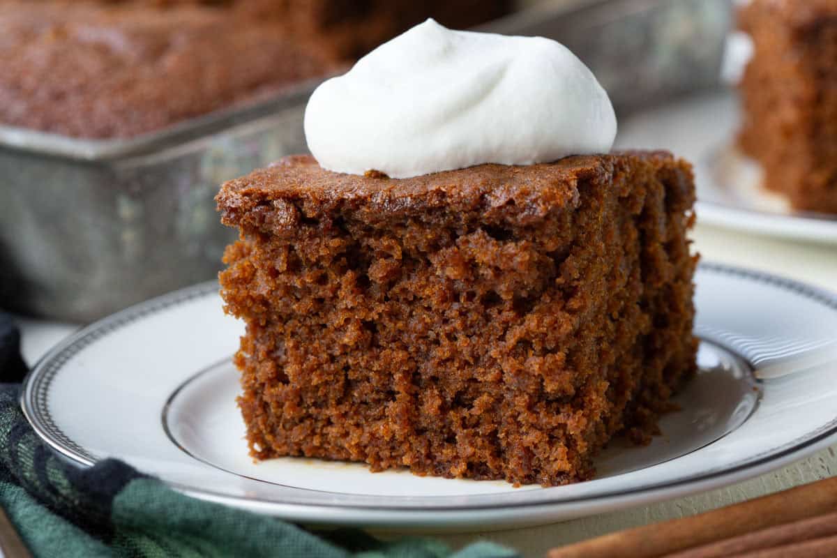 slice of brown gingerbread cake topped with a dollop of whipped cream.