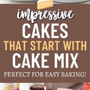 a slice of pink strawberry cake, a slice of coconut cake, a slice of chocolate cake with cherries inside, and a slice of chocolate cake with whipped cream on top.