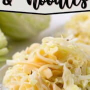 shredded cabbage and egg noodles on a plate.