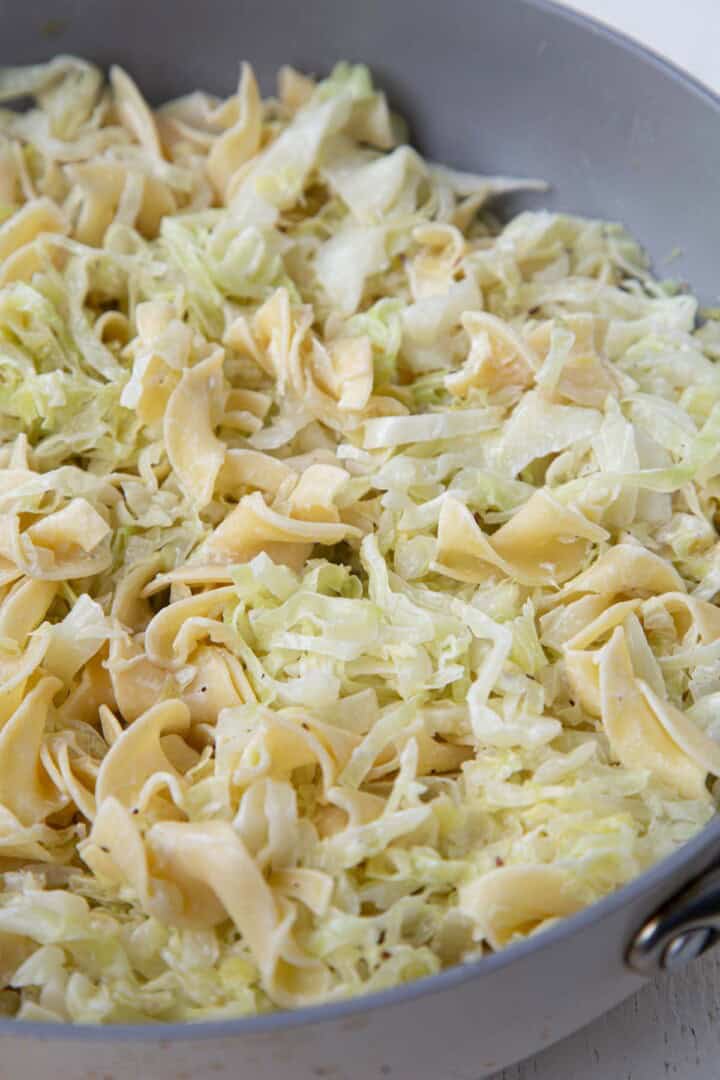 cooked cabbage and egg noodles in a skillet.