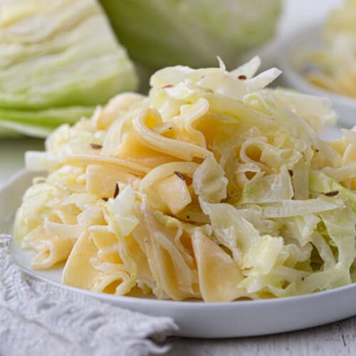 cabbage and egg noodles in a light creamy sauce on a white plate.