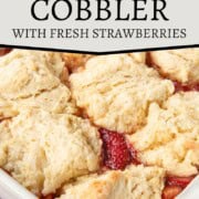 strawberry rhubarb cobbler in a baking dish with a biscuit-like topping.
