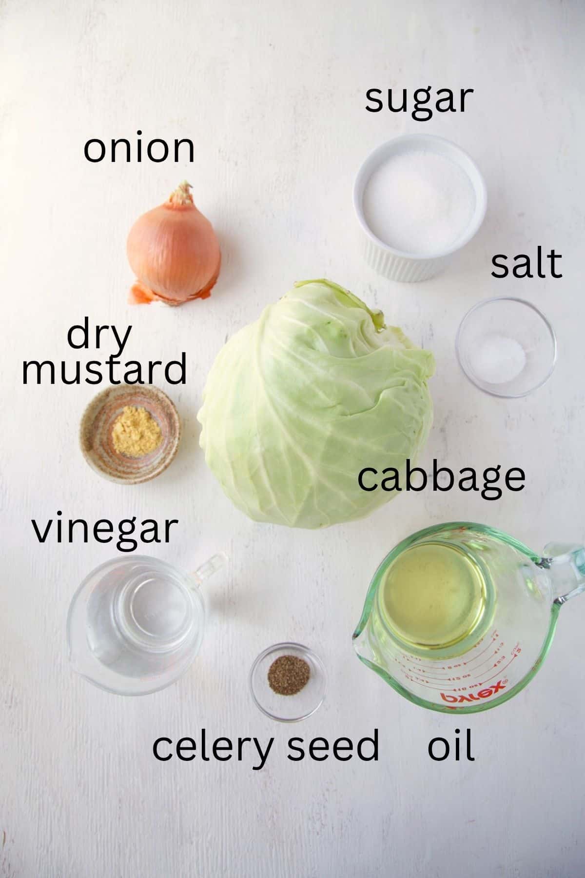 cabbage, onion, vinegar, oil, sugar, and other ingredients.