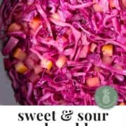 sliced cabbage and diced apples in a tangy vinegar sauce.