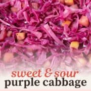 sliced cabbage and diced apples in a tangy vinegar sauce.