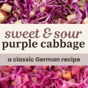 sliced cabbage and diced apples in a tangy vinegar sauce.