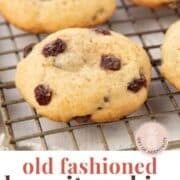 hermit cookies with raisins on top sitting on a wire rack.