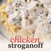 creamy chicken stroganoff over egg noodles.