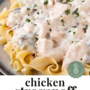 creamy chicken stroganoff over egg noodles.