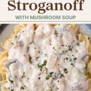 creamy chicken stroganoff over egg noodles.