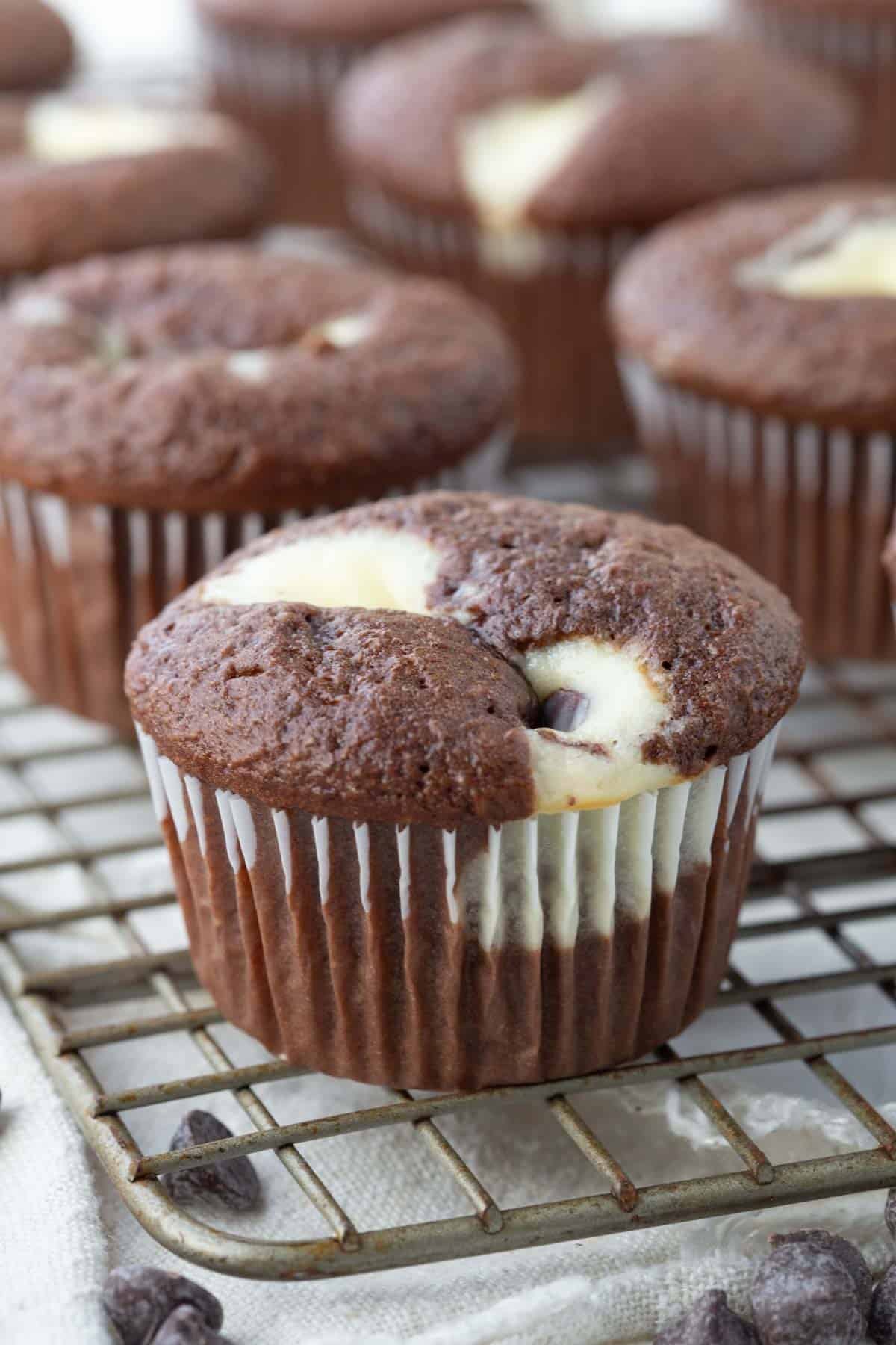 black bottom cupcakes lined up on a wire rack.