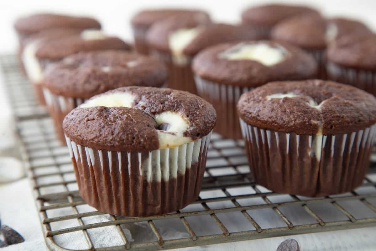 black bottom cupcakes with cream cheese swirl lined up on a wire rack.