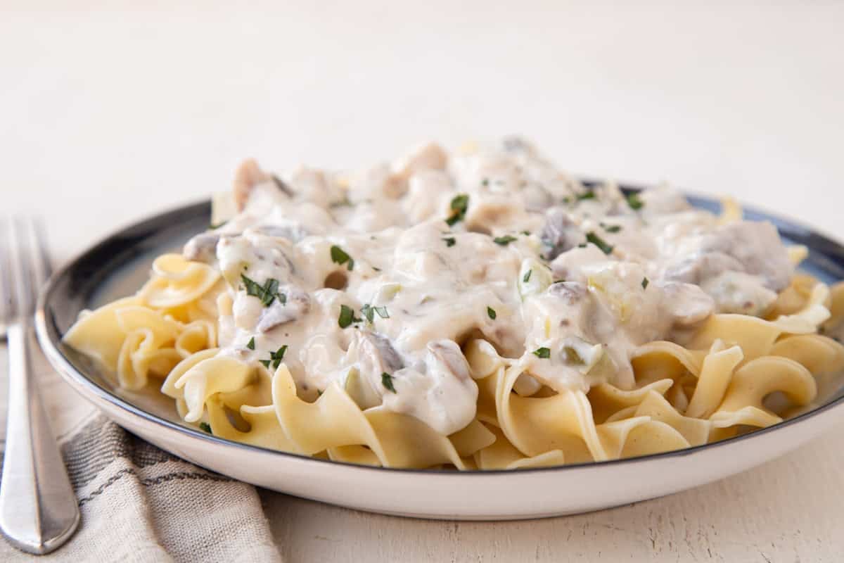 creamy chicken stroganoff over egg noodles on a plate.