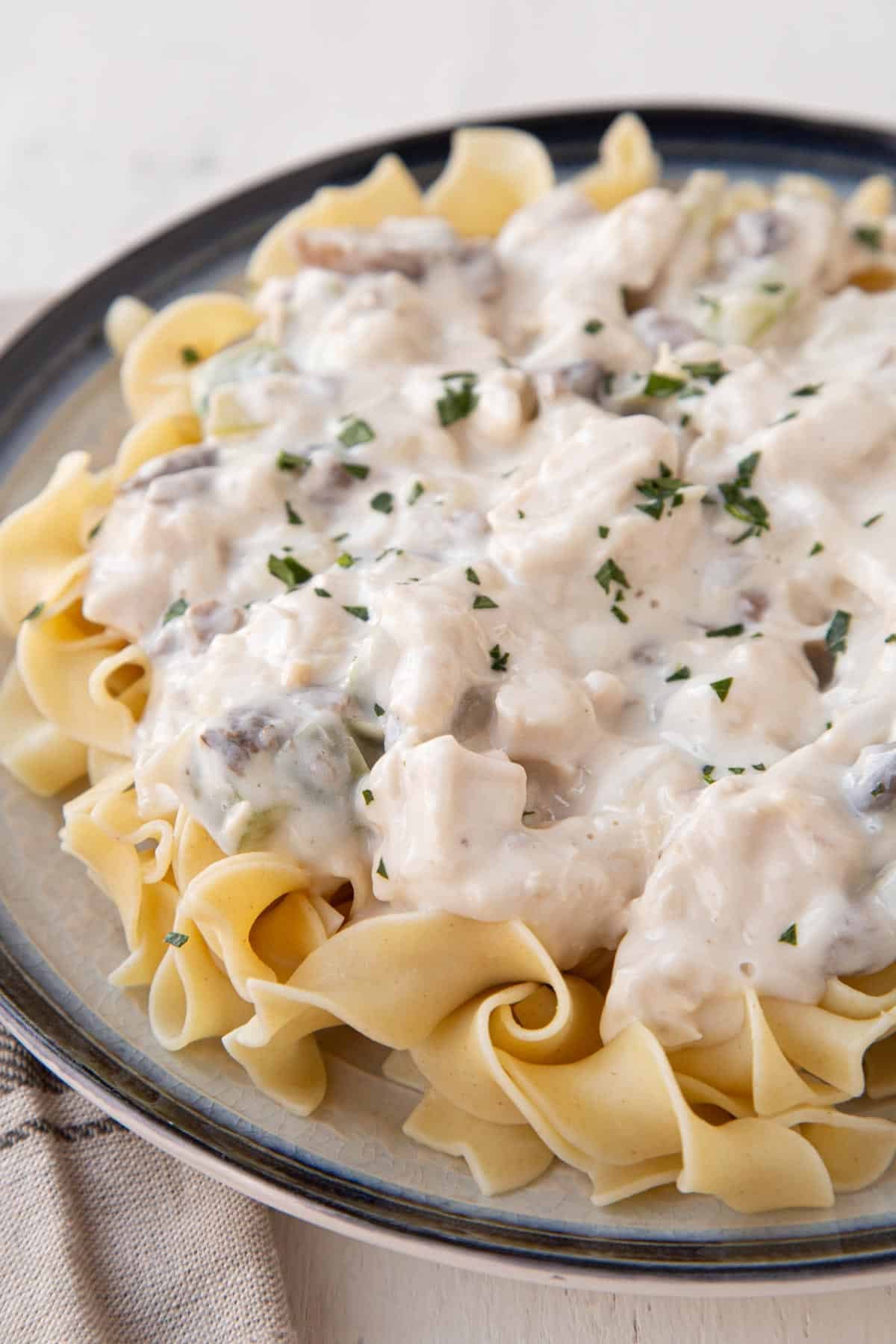 plate of creamy chicken stroganoff over egg noodles.
