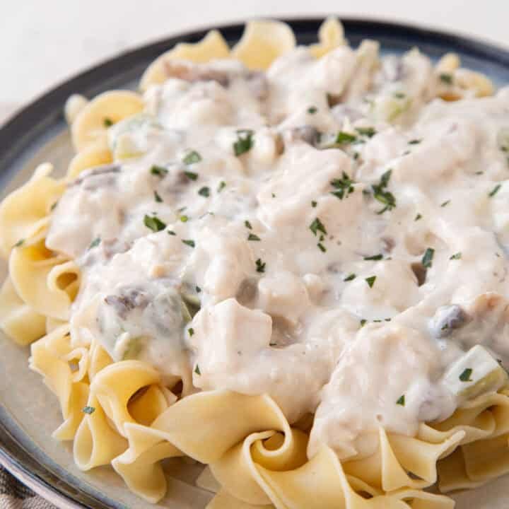 plate of creamy chicken stroganoff over egg noodles.